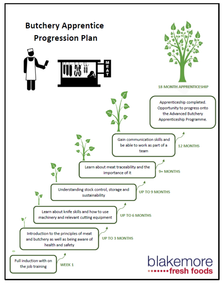 Butchery apprentice progression plan